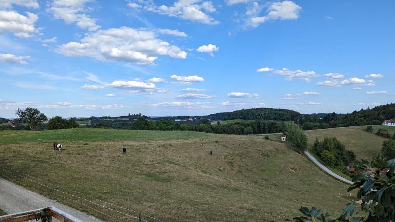 Ursteirerhof - Familie Kerschbaumer Paalsdorf Buitenkant foto