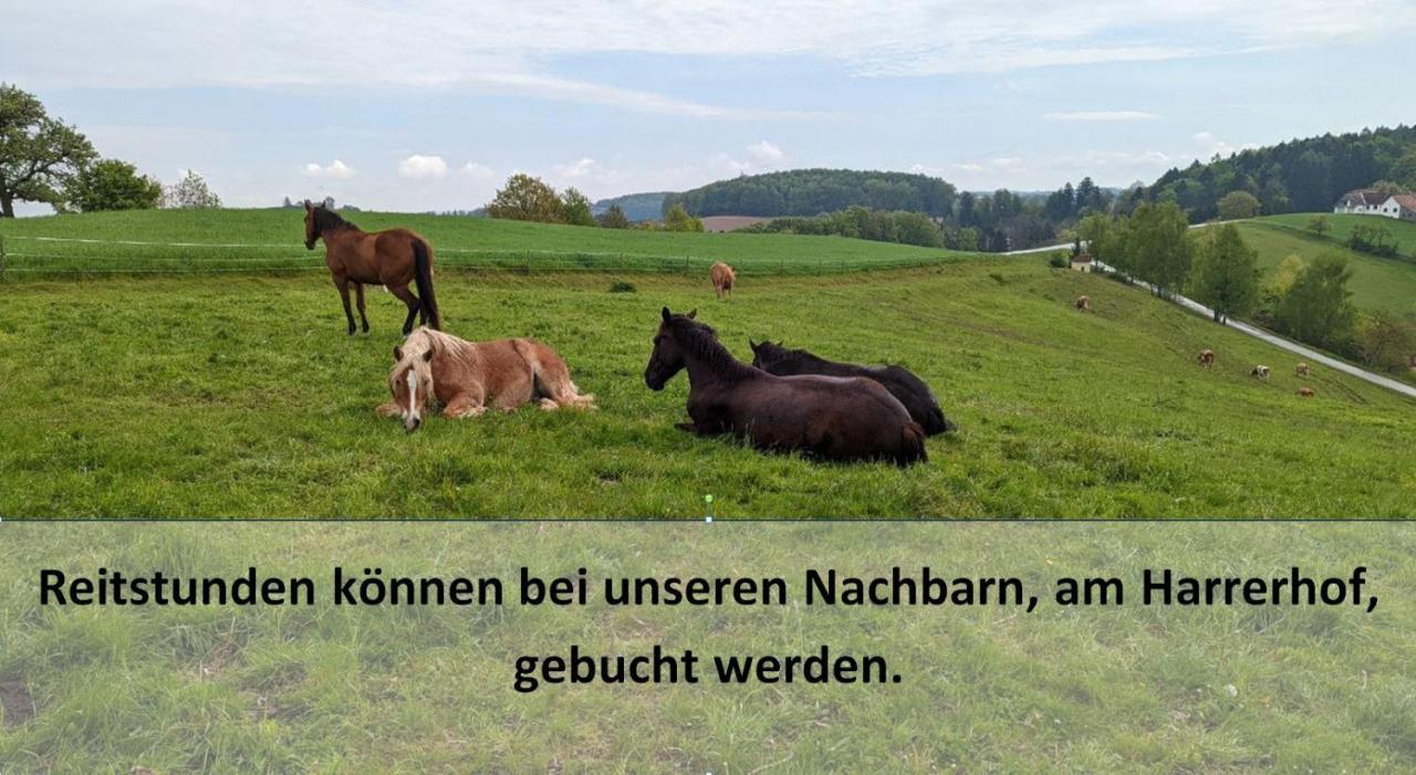 Ursteirerhof - Familie Kerschbaumer Paalsdorf Buitenkant foto